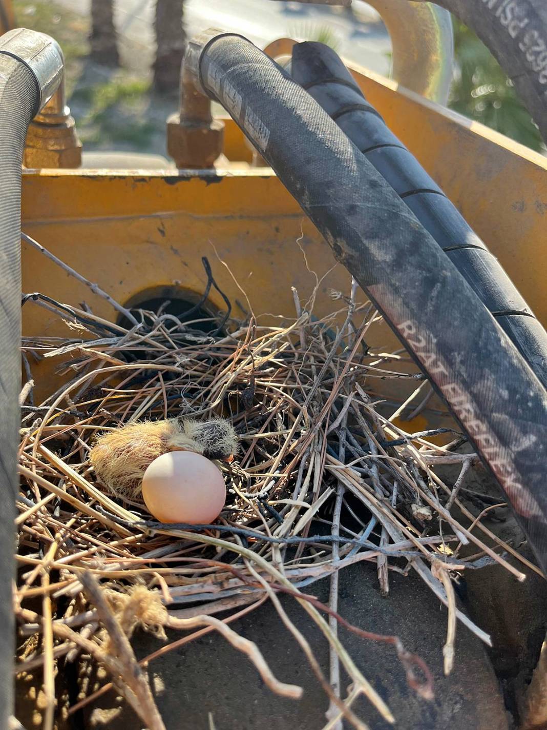 Yuva yıkmadı, takdir topladı: Onlar, Allah'ın misafiri! 200 bin TL'lik fedakarlığı takdir topladı 13